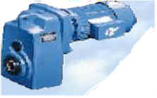 wpe2.jpg (4441 bytes)