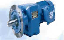 wpe4.jpg (4254 bytes)