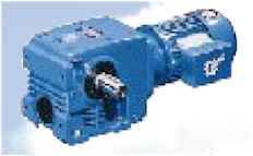 wpe8.jpg (5206 bytes)